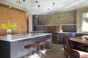 Modern Renovation in Suburban Setting YA Architects Minneapolis